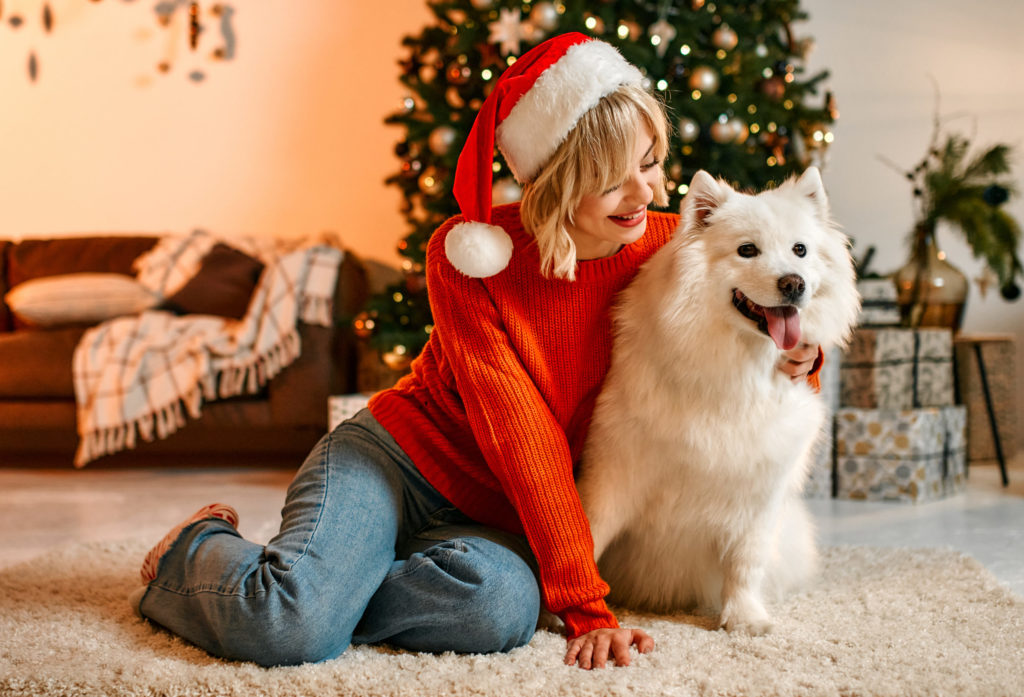 Couple in love for New Year and Christmas with a dog at home